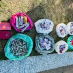 Sacolas com drogas e celulares apreendidos no bairro Colina
